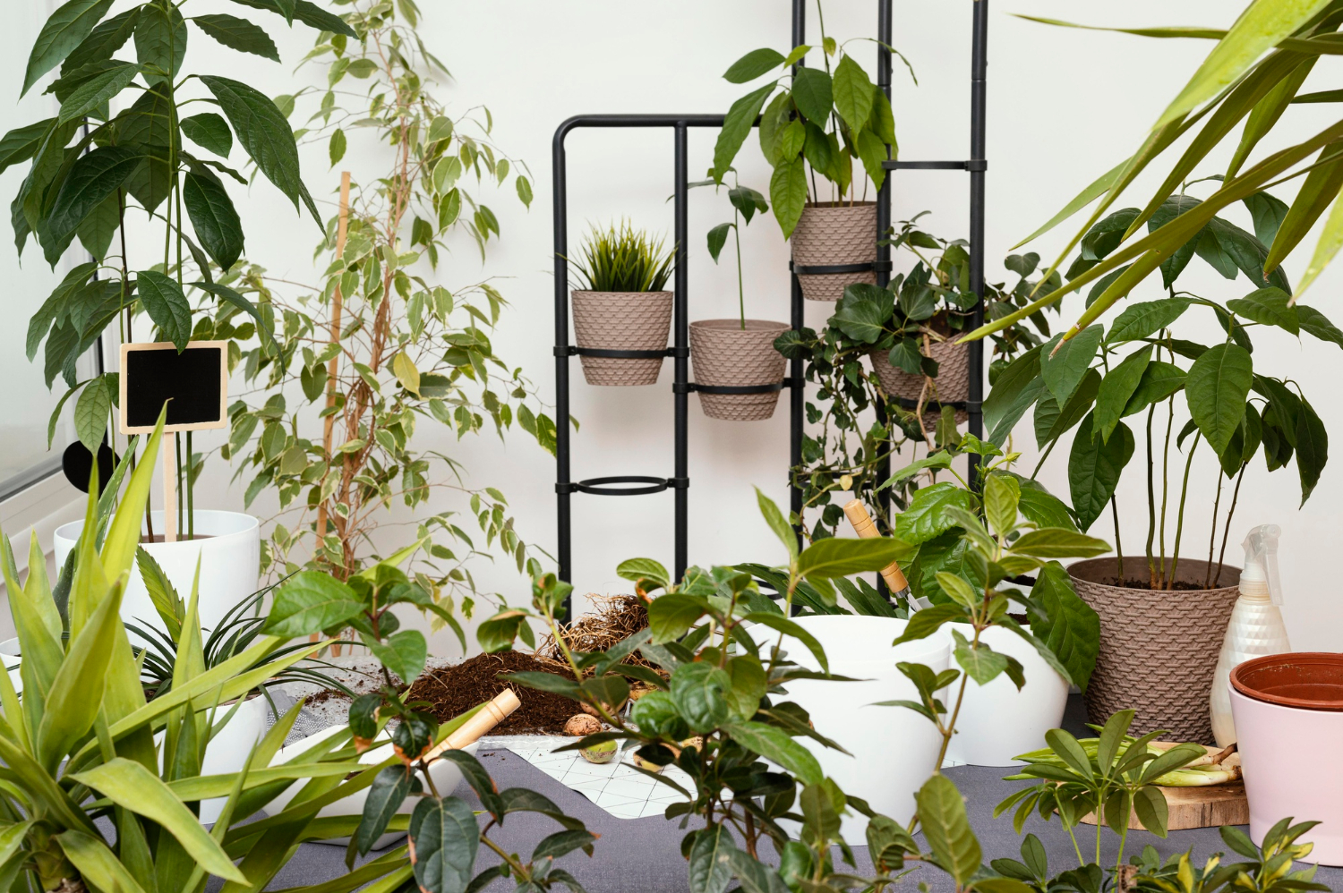 Untuk koleksi tanaman, bisa menggunakan rak dalam menata taman depan rumah sederhana milikmu.