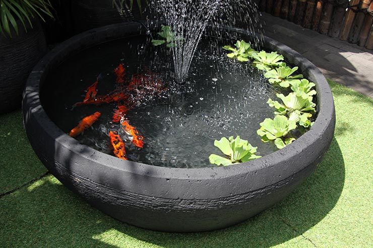 Kolam ikan mini menggunakan pot tanaman bisa diletakkan di teras depan rumah.