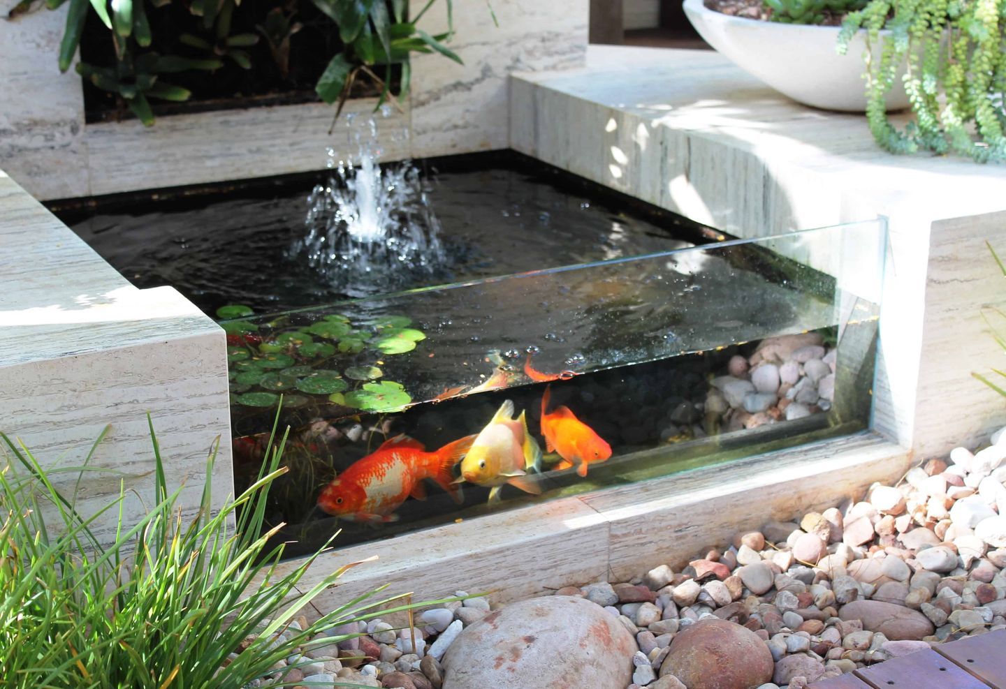 Kolam ikan mini yang terbuat dari material kaca membuat kamu bisa melihat kualitas air di dalam kolam.